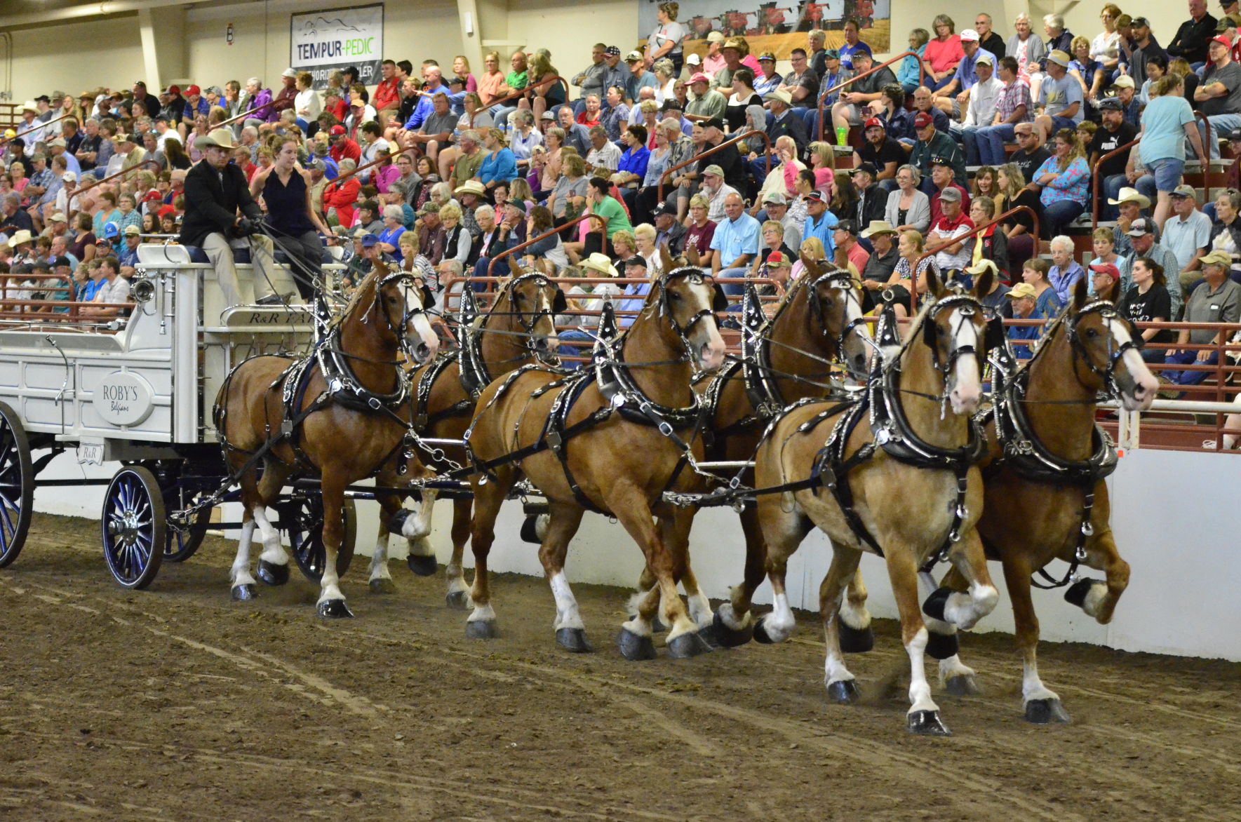 8-25-19 Draft Horse Hitch Final (110).JPG